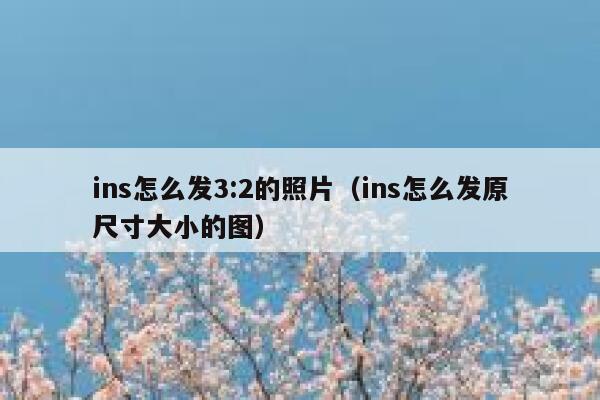 ins怎么发3:2的照片（ins怎么发原尺寸大小的图） 第1张