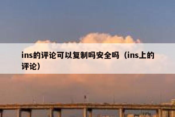 ins的评论可以复制吗安全吗（ins上的评论） 第1张