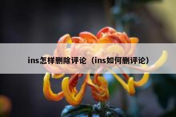 ins怎样删除评论（ins如何删评论） 第1张