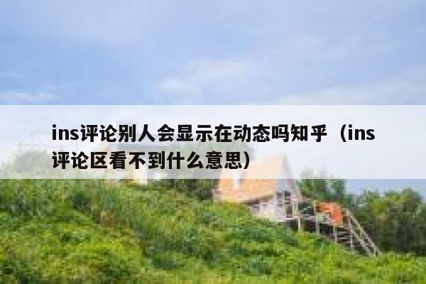 ins评论别人会显示在动态吗知乎（ins评论区看不到什么意思） 第1张