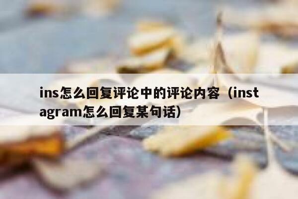 ins怎么回复评论中的评论内容（instagram怎么回复某句话） 第1张