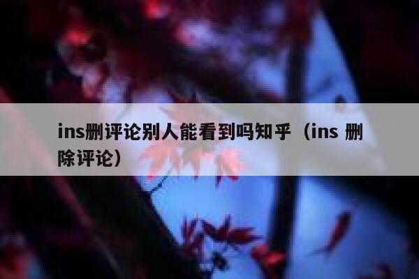 ins删评论别人能看到吗知乎（ins 删除评论） 第1张