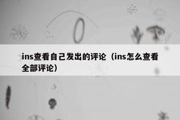 ins查看自己发出的评论（ins怎么查看全部评论） 第1张