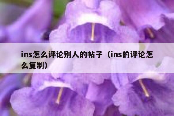 ins怎么评论别人的帖子（ins的评论怎么复制） 第1张