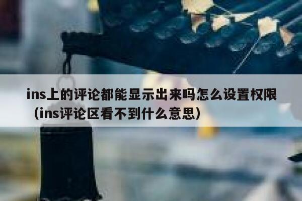 ins上的评论都能显示出来吗怎么设置权限（ins评论区看不到什么意思） 第1张