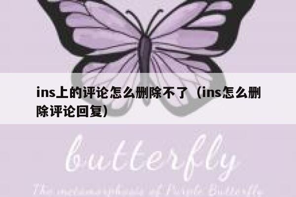 ins上的评论怎么删除不了（ins怎么删除评论回复） 第1张