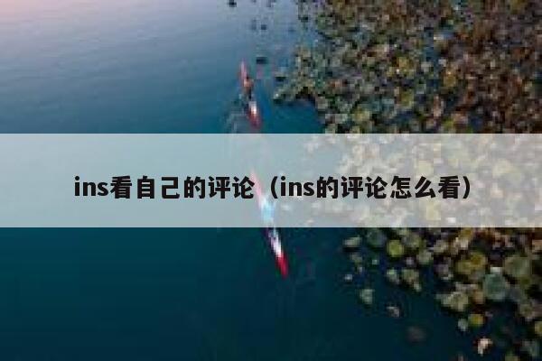 ins看自己的评论（ins的评论怎么看） 第1张