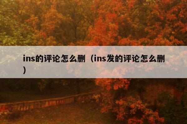 ins的评论怎么删（ins发的评论怎么删） 第1张