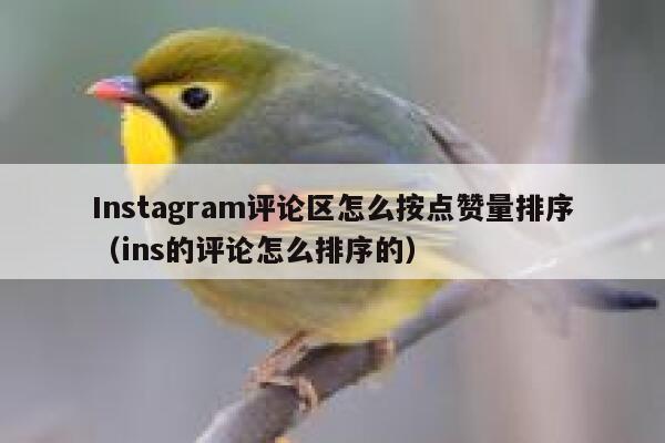 Instagram评论区怎么按点赞量排序（ins的评论怎么排序的） 第1张