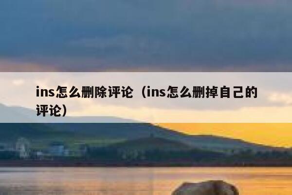 ins怎么删除评论（ins怎么删掉自己的评论） 第1张