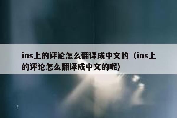 ins上的评论怎么翻译成中文的（ins上的评论怎么翻译成中文的呢） 第1张