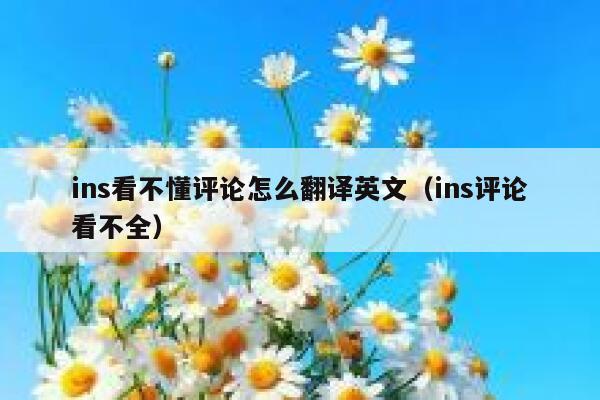 ins看不懂评论怎么翻译英文（ins评论看不全） 第1张