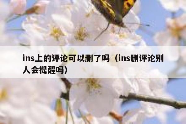 ins上的评论可以删了吗（ins删评论别人会提醒吗） 第1张