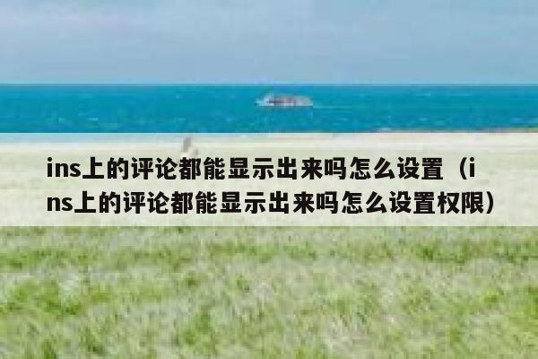 ins上的评论都能显示出来吗怎么设置（ins上的评论都能显示出来吗怎么设置权限） 第1张