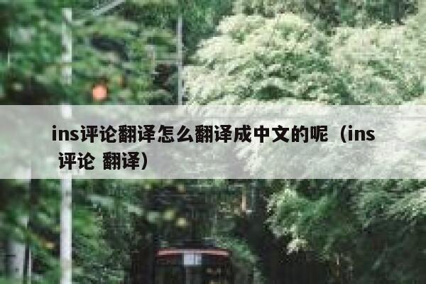 ins评论翻译怎么翻译成中文的呢（ins 评论 翻译） 第1张