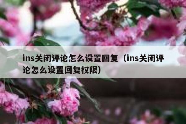 ins关闭评论怎么设置回复（ins关闭评论怎么设置回复权限） 第1张