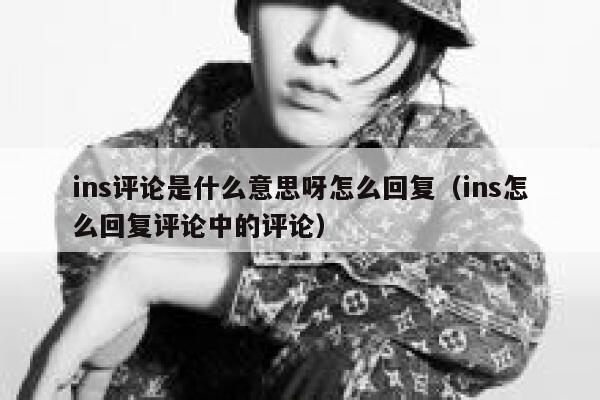 ins评论是什么意思呀怎么回复（ins怎么回复评论中的评论） 第1张