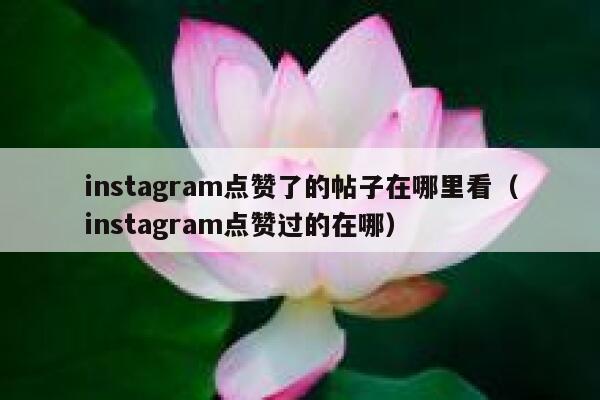 instagram点赞了的帖子在哪里看（instagram点赞过的在哪） 第1张