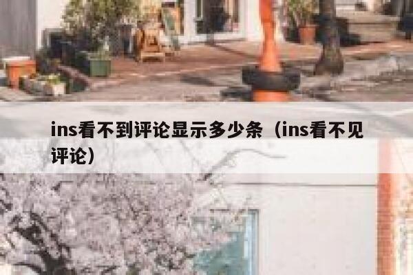 ins看不到评论显示多少条（ins看不见评论） 第1张