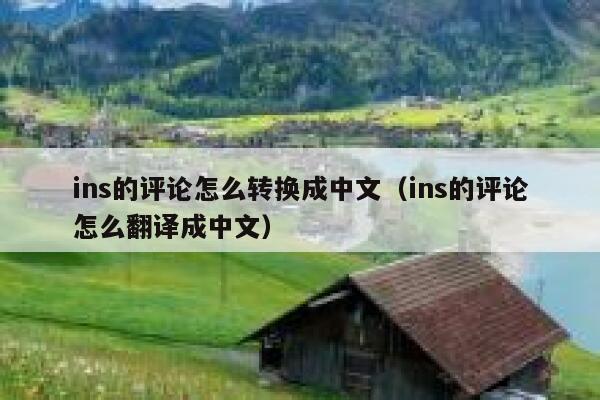 ins的评论怎么转换成中文（ins的评论怎么翻译成中文） 第1张
