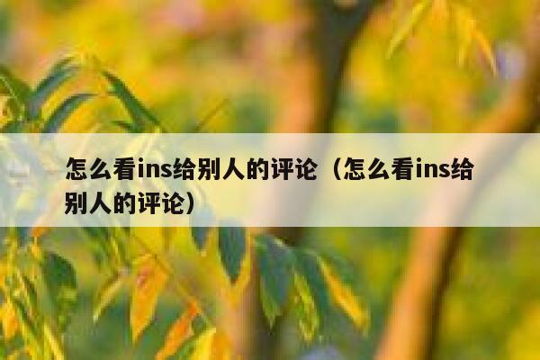 怎么看ins给别人的评论（怎么看ins给别人的评论） 第1张