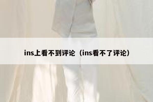 ins上看不到评论（ins看不了评论） 第1张