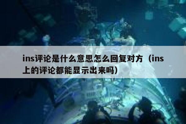 ins评论是什么意思怎么回复对方（ins上的评论都能显示出来吗） 第1张