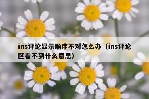 ins评论显示顺序不对怎么办（ins评论区看不到什么意思） 第1张