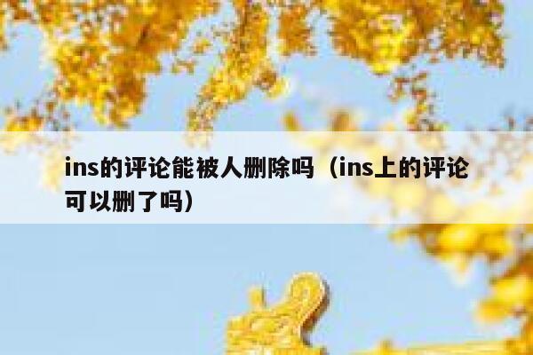 ins的评论能被人删除吗（ins上的评论可以删了吗） 第1张