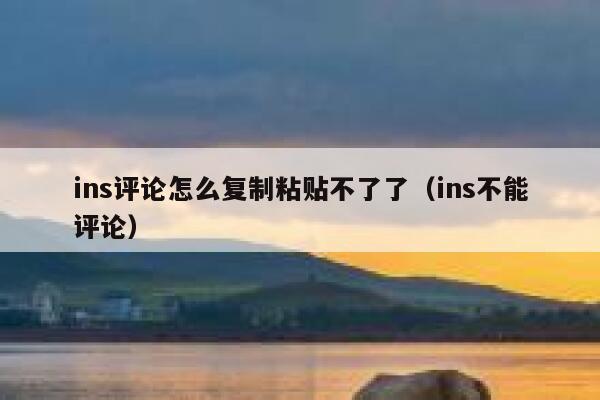 ins评论怎么复制粘贴不了了（ins不能评论） 第1张