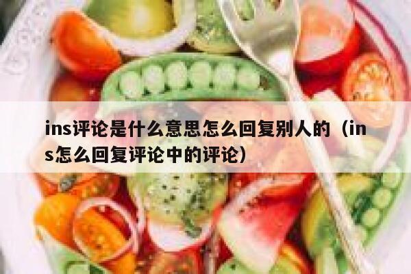 ins评论是什么意思怎么回复别人的（ins怎么回复评论中的评论） 第1张
