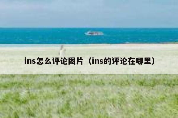 ins怎么评论图片（ins的评论在哪里） 第1张