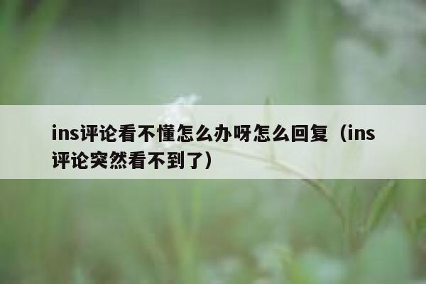 ins评论看不懂怎么办呀怎么回复（ins评论突然看不到了） 第1张