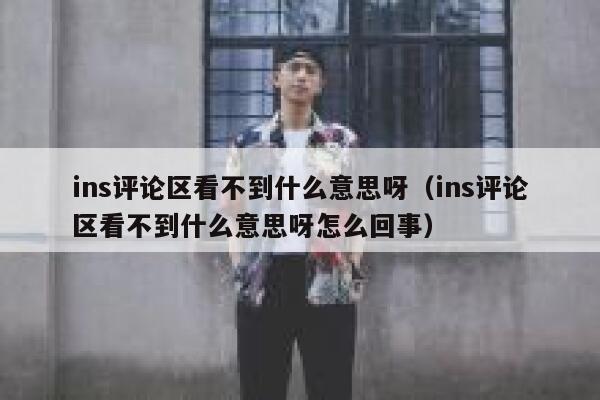 ins评论区看不到什么意思呀（ins评论区看不到什么意思呀怎么回事） 第1张