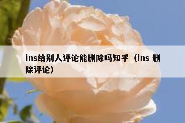ins给别人评论能删除吗知乎（ins 删除评论） 第1张