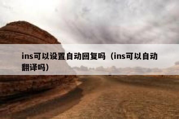 ins可以设置自动回复吗（ins可以自动翻译吗） 第1张