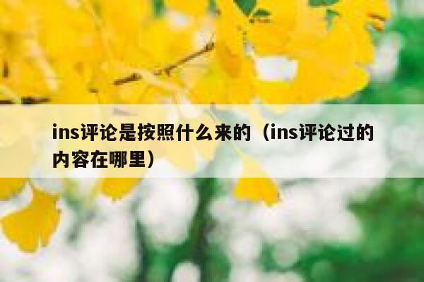 ins评论是按照什么来的（ins评论过的内容在哪里） 第1张