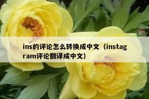 ins的评论怎么转换成中文（instagram评论翻译成中文） 第1张