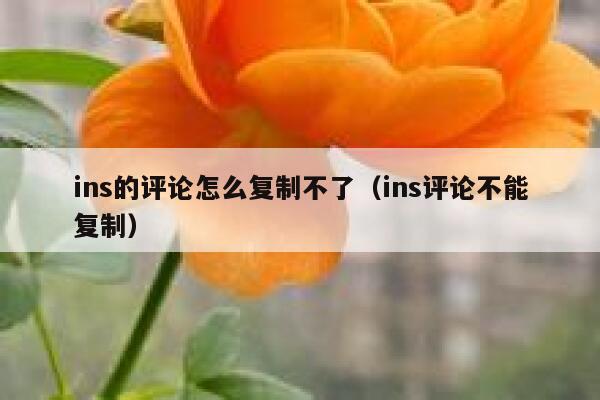 ins的评论怎么复制不了（ins评论不能复制） 第1张