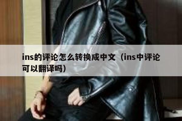 ins的评论怎么转换成中文（ins中评论可以翻译吗） 第1张