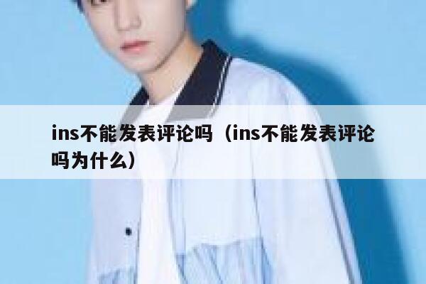 ins不能发表评论吗（ins不能发表评论吗为什么） 第1张