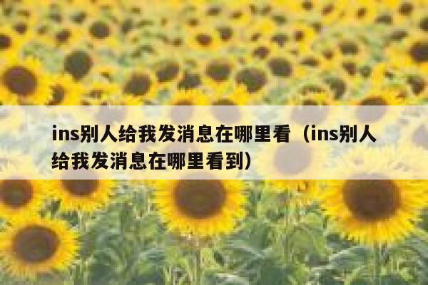 ins别人给我发消息在哪里看（ins别人给我发消息在哪里看到） 第1张