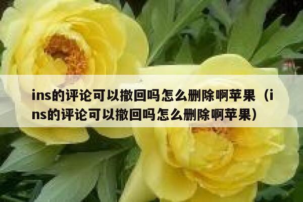 ins的评论可以撤回吗怎么删除啊苹果（ins的评论可以撤回吗怎么删除啊苹果） 第1张
