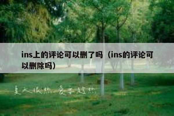 ins上的评论可以删了吗（ins的评论可以删除吗） 第1张