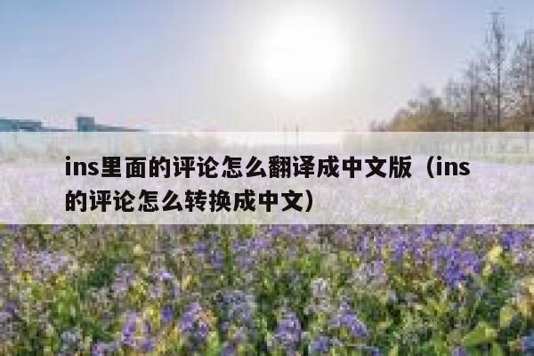 ins里面的评论怎么翻译成中文版（ins的评论怎么转换成中文） 第1张