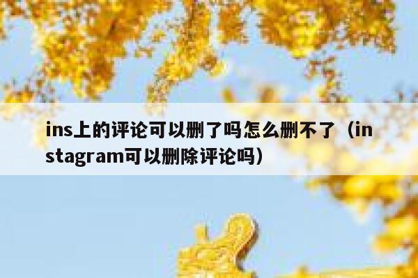 ins上的评论可以删了吗怎么删不了（instagram可以删除评论吗） 第1张