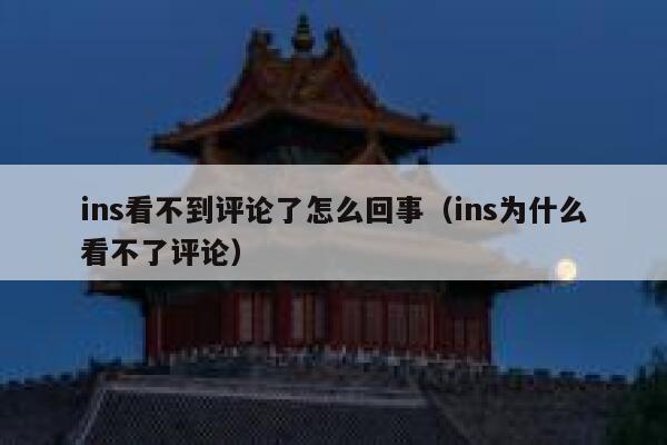 ins看不到评论了怎么回事（ins为什么看不了评论） 第1张