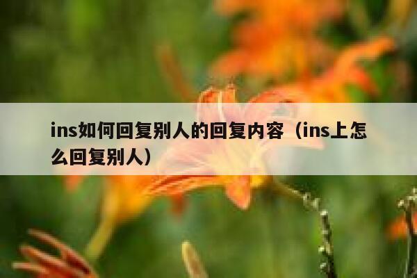 ins如何回复别人的回复内容（ins上怎么回复别人） 第1张
