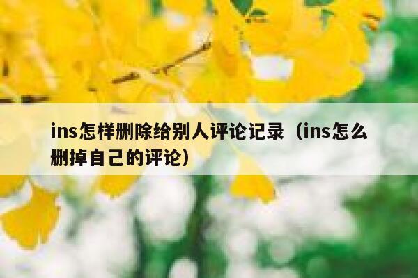 ins怎样删除给别人评论记录（ins怎么删掉自己的评论） 第1张