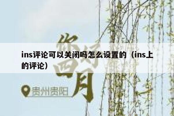 ins评论可以关闭吗怎么设置的（ins上的评论） 第1张